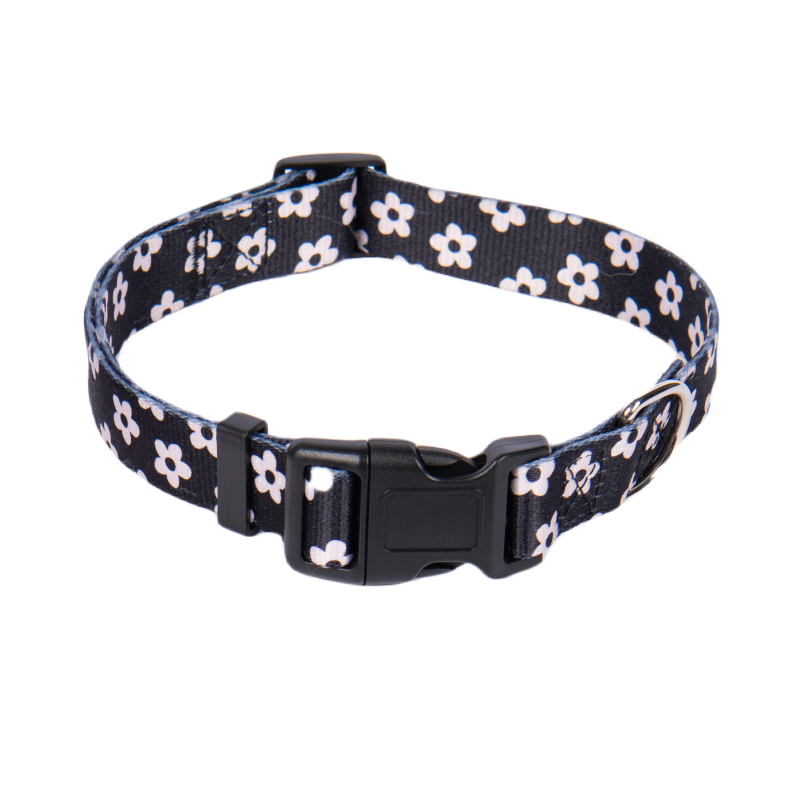 Poliészter kutya nyakörv és póráz készlet — nyakörv + póráz, 100 darabos dobozban