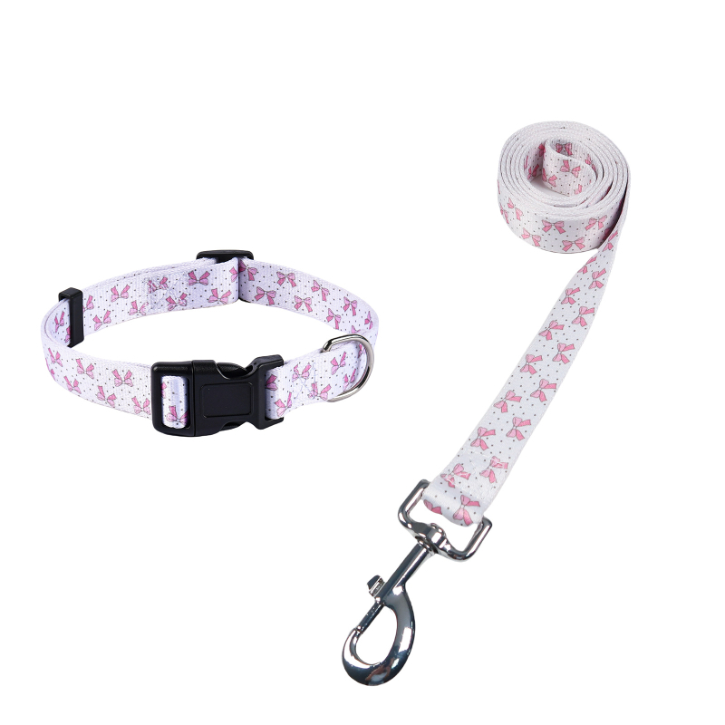 Poliészter kutya nyakörv és póráz készlet — nyakörv + póráz, 100 darabos dobozban