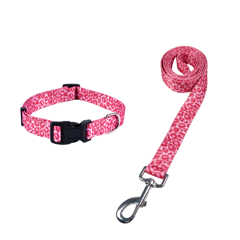 Poliészter kutya nyakörv és póráz készlet — nyakörv + póráz, 100 darabos dobozban