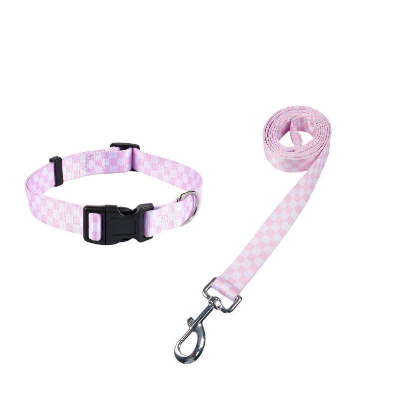 Poliészter kutya nyakörv és póráz készlet — nyakörv + póráz, 100 darabos dobozban