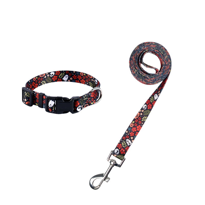 Poliészter kutya nyakörv és póráz készlet — nyakörv + póráz, 100 darabos dobozban
