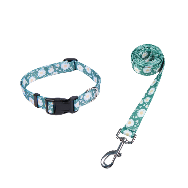 Poliészter kutya nyakörv és póráz készlet — nyakörv + póráz, 100 darabos dobozban