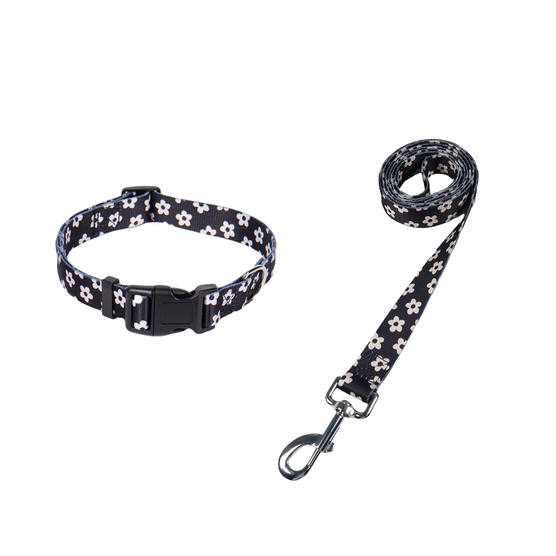 Poliészter kutya nyakörv és póráz készlet — nyakörv + póráz, 100 darabos dobozban
