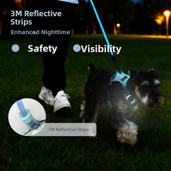 Nylon kutya póráz, mellény-stílusú, South Belle