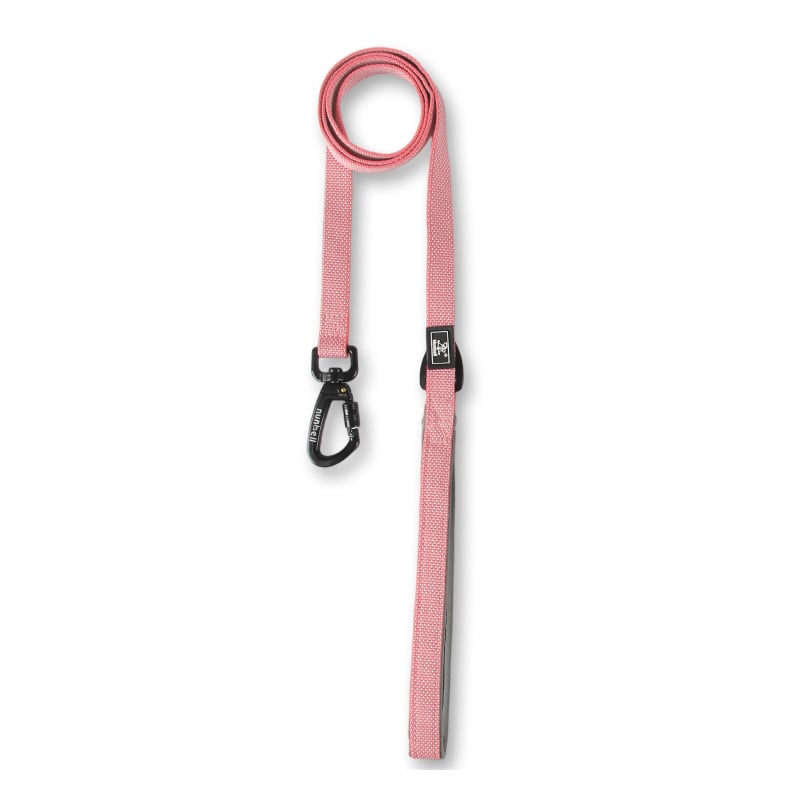 Nylon kutya póráz, mellény-stílusú, South Belle