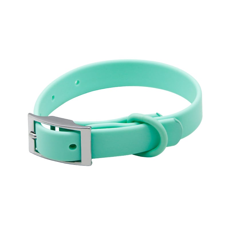 Κολάρο σκύλου με PVC επενδυμένο ιμάντα, μονοχρωματικό σχέδιο, στυλ για ελεύθερο χρόνο - Divine Horse, Ντονγκουάν, Γκουανγκντόνγκ