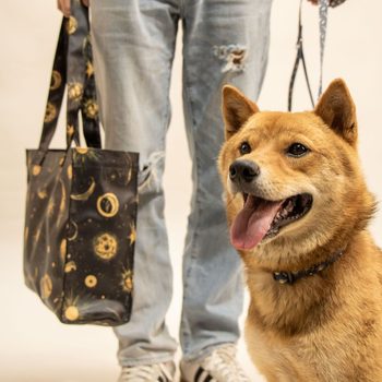 Kopai K Series kisállat-kiegészítő készlet: hám, póráz, nyakörv, nyálkendő, kutyaruha