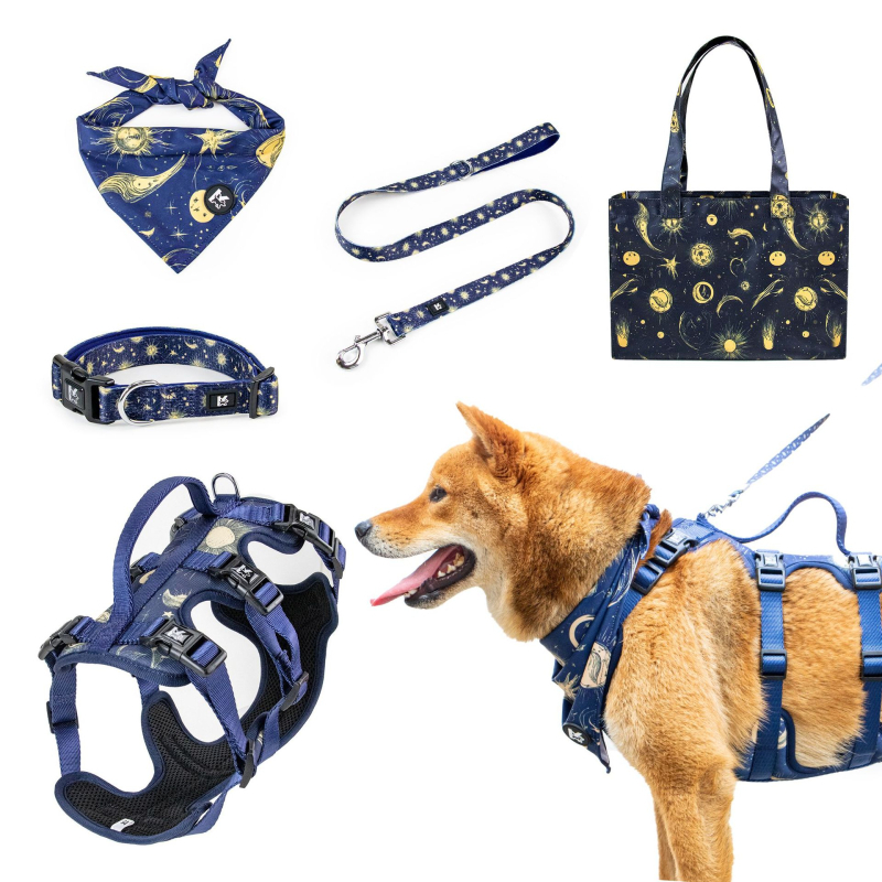 Kopai K Series kisállat-kiegészítő készlet: hám, póráz, nyakörv, nyálkendő, kutyaruha