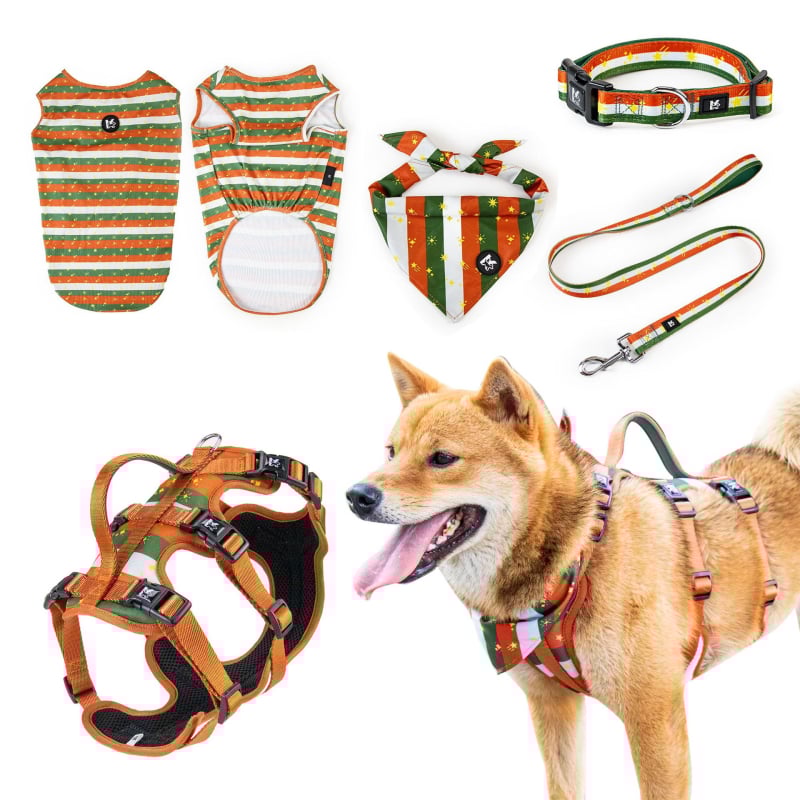 Kopai K Series kisállat-kiegészítő készlet: hám, póráz, nyakörv, nyálkendő, kutyaruha