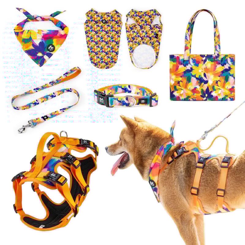 Kopai K Series kisállat-kiegészítő készlet: hám, póráz, nyakörv, nyálkendő, kutyaruha