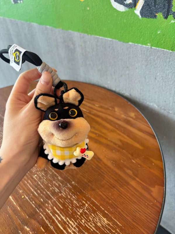 Pandantiv pentru telefon din pluș cu clips și lanț crossbody – stil desen animat, decorativ, material pluș, ambalaj individual