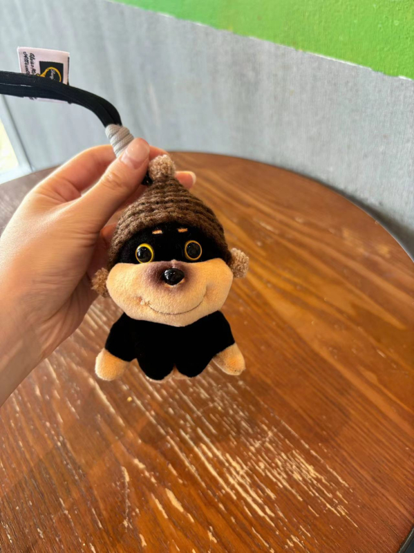 Pandantiv pentru telefon din pluș cu clips și lanț crossbody – stil desen animat, decorativ, material pluș, ambalaj individual