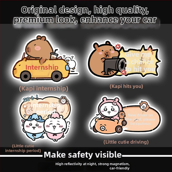 Auto kleebis magnetilise paigaldamisega, peegeldav pind, päikesekaitse ja kriimustuste kaitse — karikatuurimuster