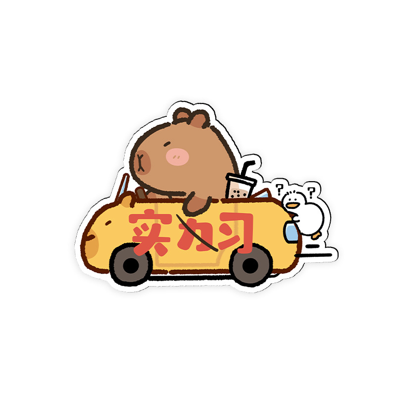 Auto kleebis magnetilise paigaldamisega, peegeldav pind, päikesekaitse ja kriimustuste kaitse — karikatuurimuster