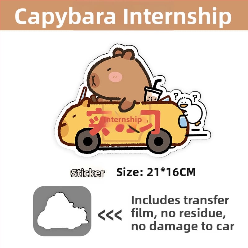 Auto kleebis magnetilise paigaldamisega, peegeldav pind, päikesekaitse ja kriimustuste kaitse — karikatuurimuster