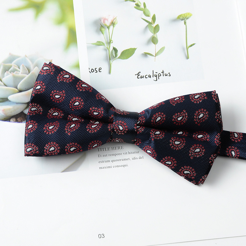 Set trei piese pentru bărbați, pentru afaceri: cravată, papion, batistă în model Paisley Jacquard