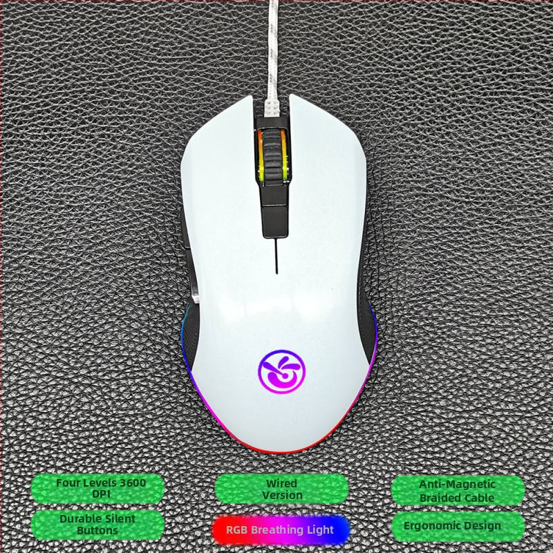 M6 ασύρματο ποντίκι Bluetooth 5.2 με διπλό τρόπο σύνδεσης 2.4G/Bluetooth, φόρτιση USB-C, 2400dpi, 6 κουμπιά, εργονομικός σχεδιασμός