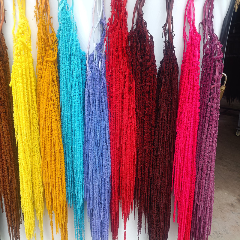 Flori veșnice atârnate – decor pentru nuntă; Material: floare veșnică; Varietate: orez atârnat; Nu este destinat ca un cadou