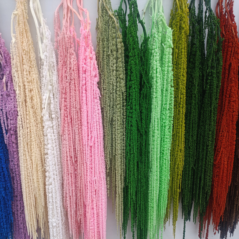 Flori veșnice atârnate – decor pentru nuntă; Material: floare veșnică; Varietate: orez atârnat; Nu este destinat ca un cadou