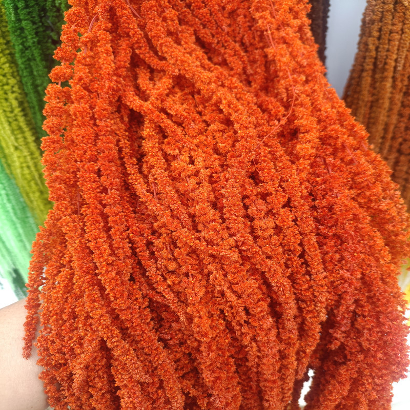 Flori veșnice atârnate – decor pentru nuntă; Material: floare veșnică; Varietate: orez atârnat; Nu este destinat ca un cadou