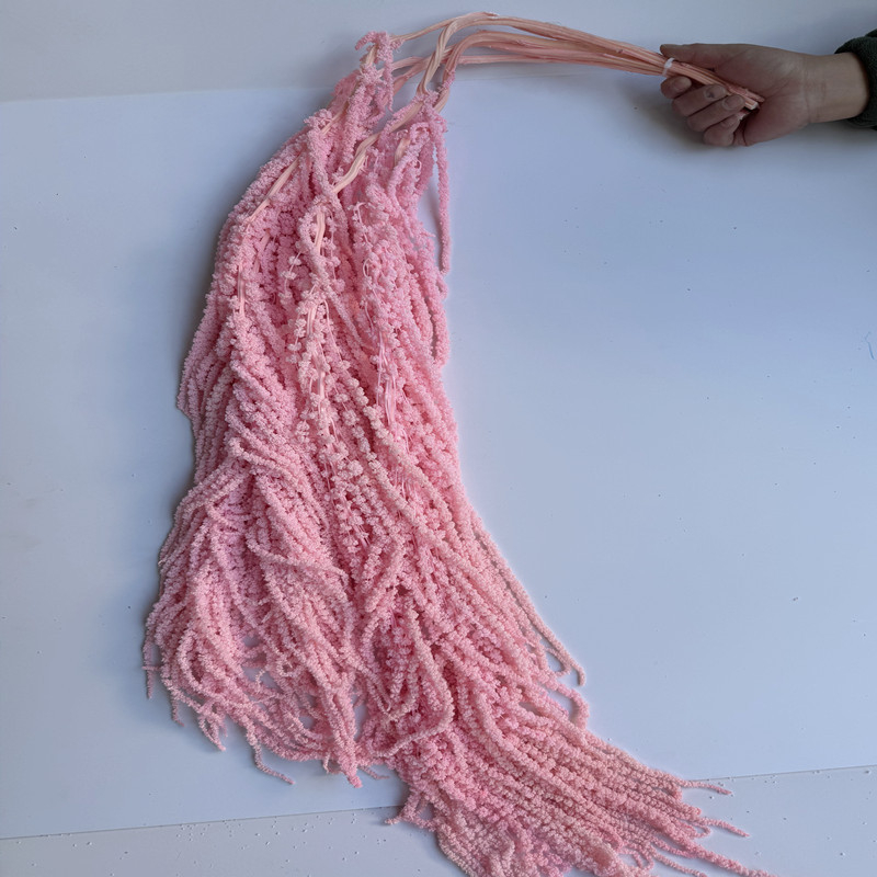 Flori veșnice atârnate – decor pentru nuntă; Material: floare veșnică; Varietate: orez atârnat; Nu este destinat ca un cadou