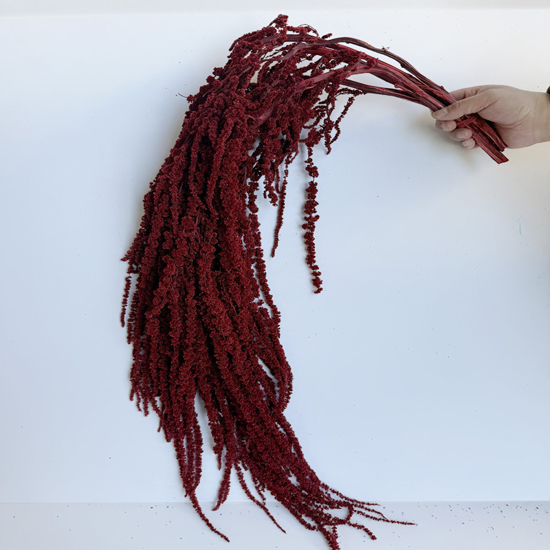 Flori veșnice atârnate – decor pentru nuntă; Material: floare veșnică; Varietate: orez atârnat; Nu este destinat ca un cadou