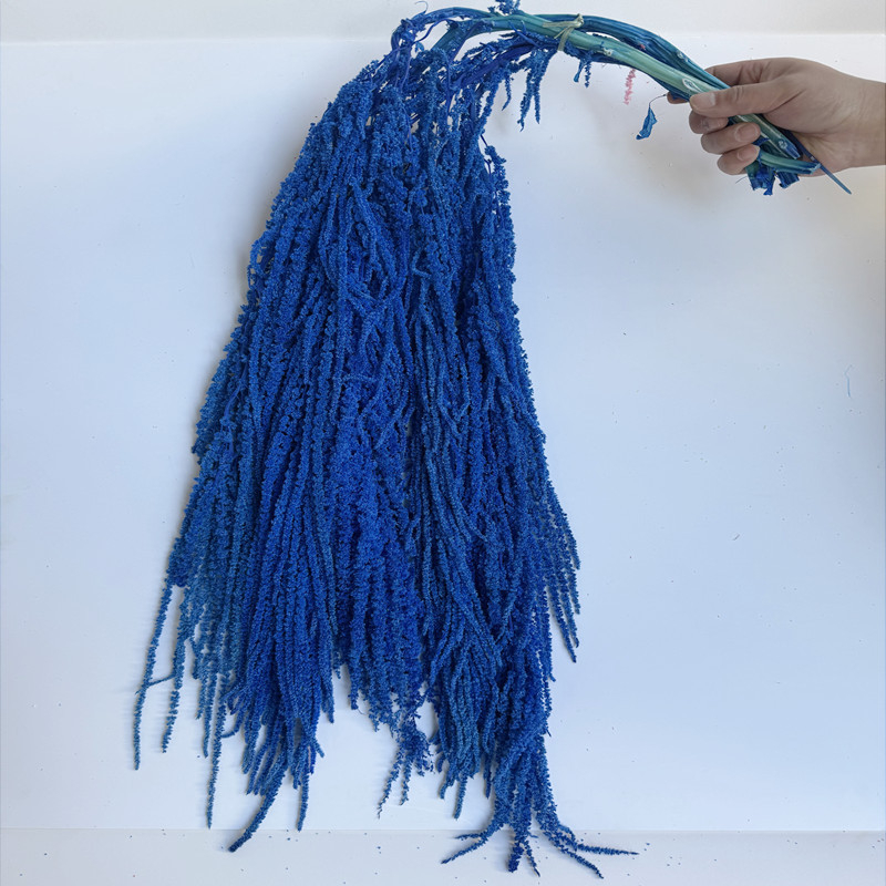 Flori veșnice atârnate – decor pentru nuntă; Material: floare veșnică; Varietate: orez atârnat; Nu este destinat ca un cadou