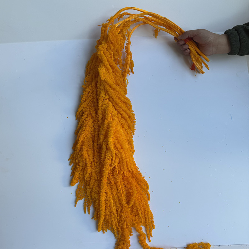 Flori veșnice atârnate – decor pentru nuntă; Material: floare veșnică; Varietate: orez atârnat; Nu este destinat ca un cadou