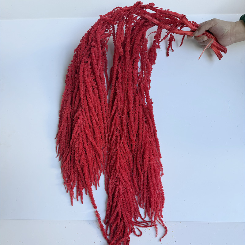 Flori veșnice atârnate – decor pentru nuntă; Material: floare veșnică; Varietate: orez atârnat; Nu este destinat ca un cadou