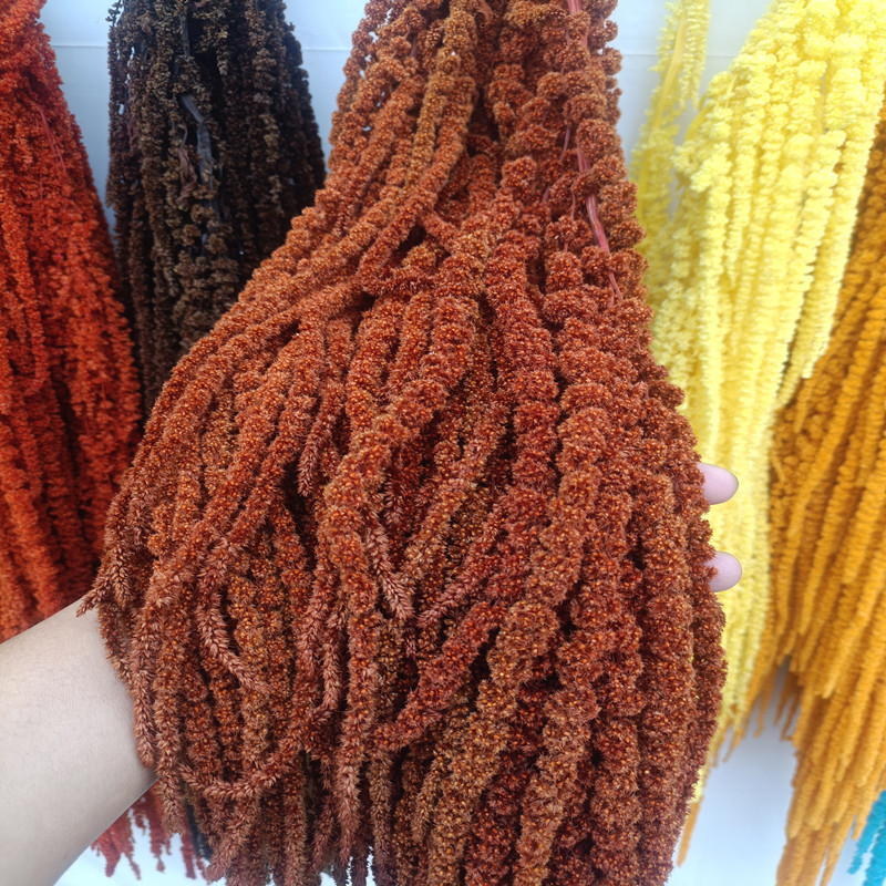 Flori veșnice atârnate – decor pentru nuntă; Material: floare veșnică; Varietate: orez atârnat; Nu este destinat ca un cadou