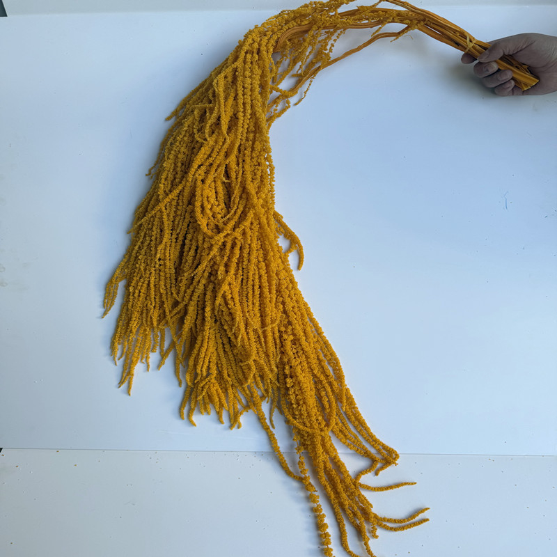 Flori veșnice atârnate – decor pentru nuntă; Material: floare veșnică; Varietate: orez atârnat; Nu este destinat ca un cadou