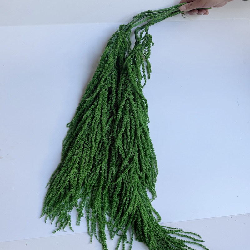 Flori veșnice atârnate – decor pentru nuntă; Material: floare veșnică; Varietate: orez atârnat; Nu este destinat ca un cadou