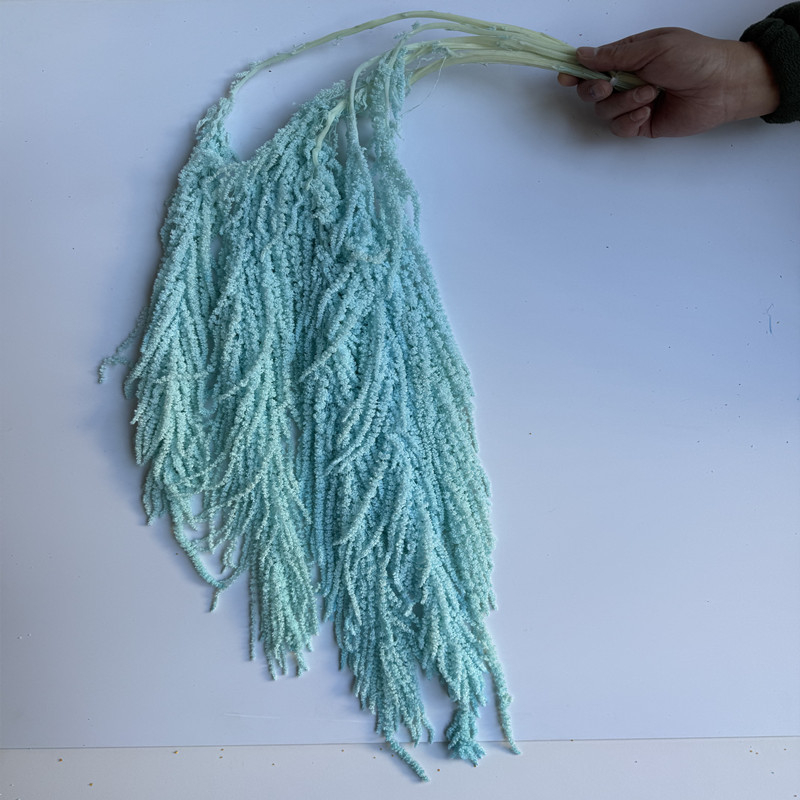 Flori veșnice atârnate – decor pentru nuntă; Material: floare veșnică; Varietate: orez atârnat; Nu este destinat ca un cadou