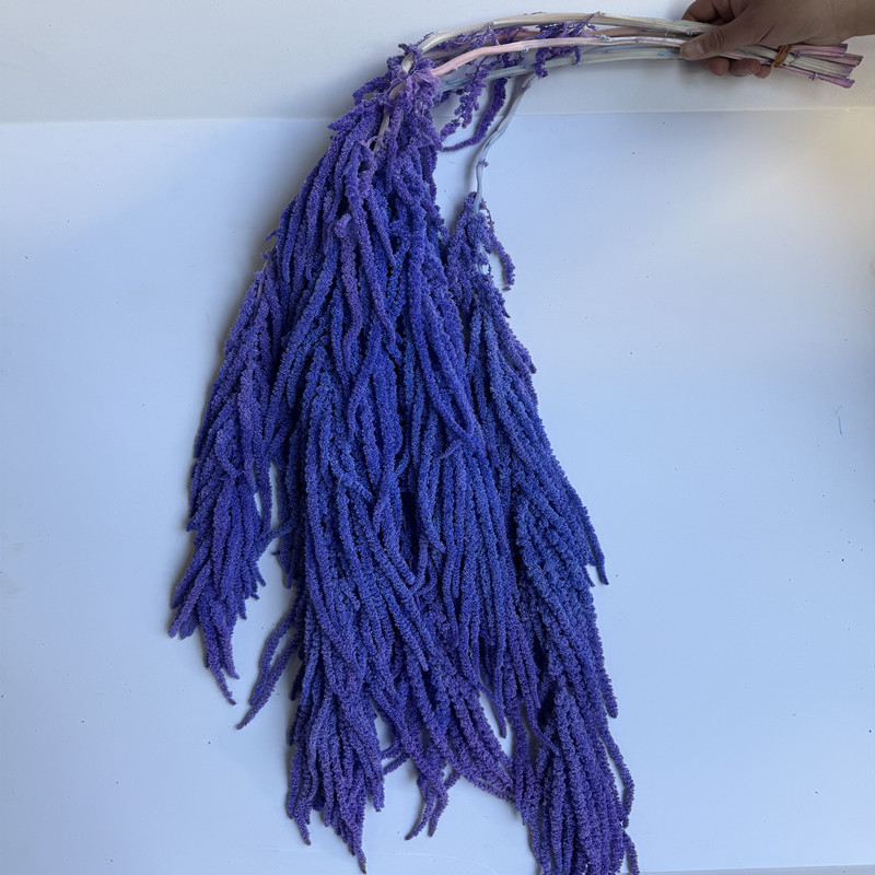 Flori veșnice atârnate – decor pentru nuntă; Material: floare veșnică; Varietate: orez atârnat; Nu este destinat ca un cadou