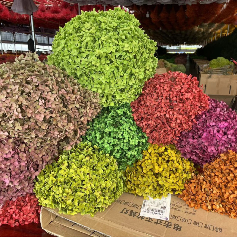 Anna hortensie uscate, vopsite, buchet