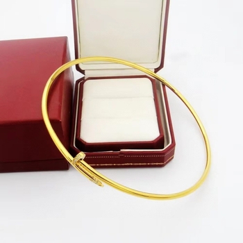 Tiitaniumi terasest kaelakee naistele, reguleeritav avatud disain, kerge luksuslik stiil, keeratud kett ja titaniumi terasest ripats