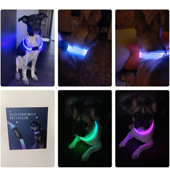 LED φωτεινό κολάρο σκύλου και λουρί γάτας, μονοχρωματικό σχέδιο, ABS+TPU, ασφαλές για βόλτες τη νύχτα