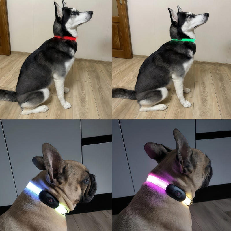 LED φωτεινό κολάρο σκύλου και λουρί γάτας, μονοχρωματικό σχέδιο, ABS+TPU, ασφαλές για βόλτες τη νύχτα