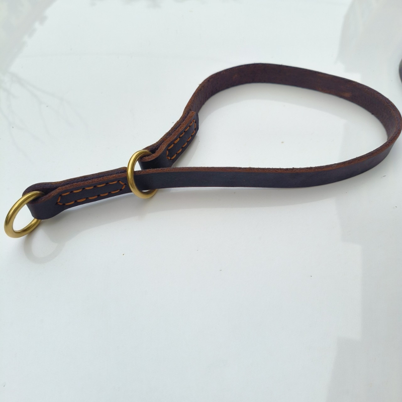 Κολάρο σκύλου, Υλικό Cortex, Για σκύλους, Εισαγόμενο: Όχι, Άδεια IP: Όχι