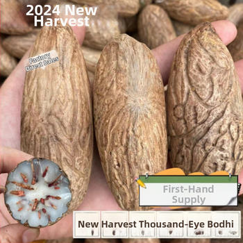 Bodhi helmed – käsitöö, looduslikud, poleeritud Bodhi seemned, kaasaegne minimalistlik stiil, kevad 2023