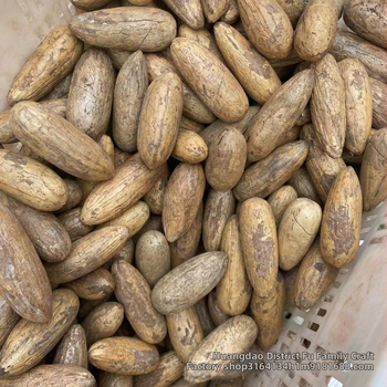 Bodhi helmed – käsitöö, looduslikud, poleeritud Bodhi seemned, kaasaegne minimalistlik stiil, kevad 2023