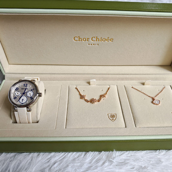 PU kožna kutija za pohranu satova i nakita, vrhunska kvaliteta, namijenjena kolekciji satova, prilagođena marka, podrijetlo Dongguan, Kina, dodatne specifikacije po zahtjevu