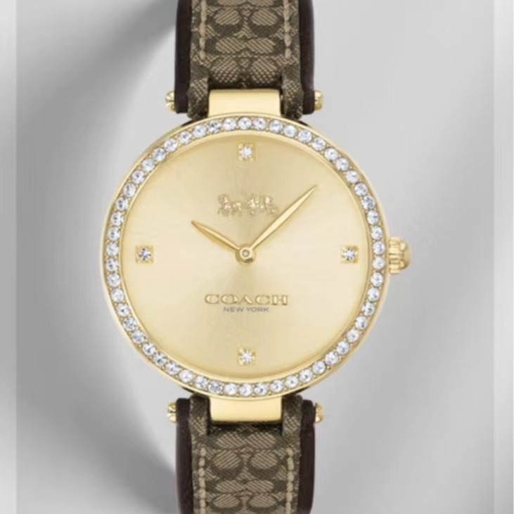 Kožený náramok na hodinky pre Coach PAKRK Series C s kvetinovým textilným vzorom – Zima 2023 – Elegantný, minimalistický, mestský štýl