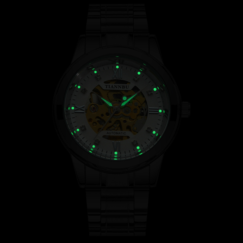 TIANNBU TB1018 Férfi Automatikus Mechanikus Óra, 30m vízálló, Fénylő számlap, Analóg kijelző, Acél szíj