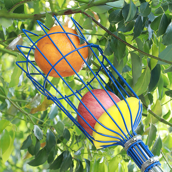 Инструмент за берене на плодове с дълга пръчка за ябълки и сливи (Марка: Other; Ръкохватка: Пластмасова)