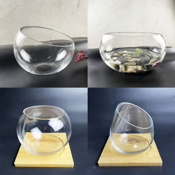 Stikla pudelīte ar sūnām, mikropeizējums ekoloģisks akvārijs zelta zivtiņām — apaļš atvērums dizains, sukulentu augi; Zīmols: Small Space Big World; Iepakojums: kartons; Parādīšana: uz virsmas