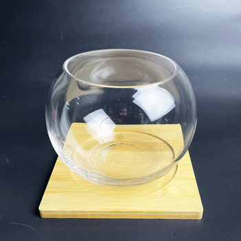 Stikla pudelīte ar sūnām, mikropeizējums ekoloģisks akvārijs zelta zivtiņām — apaļš atvērums dizains, sukulentu augi; Zīmols: Small Space Big World; Iepakojums: kartons; Parādīšana: uz virsmas