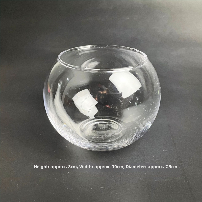 Stikla pudelīte ar sūnām, mikropeizējums ekoloģisks akvārijs zelta zivtiņām — apaļš atvērums dizains, sukulentu augi; Zīmols: Small Space Big World; Iepakojums: kartons; Parādīšana: uz virsmas