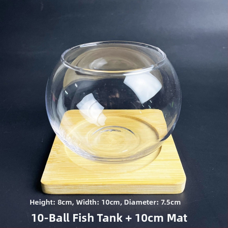 Stikla pudelīte ar sūnām, mikropeizējums ekoloģisks akvārijs zelta zivtiņām — apaļš atvērums dizains, sukulentu augi; Zīmols: Small Space Big World; Iepakojums: kartons; Parādīšana: uz virsmas