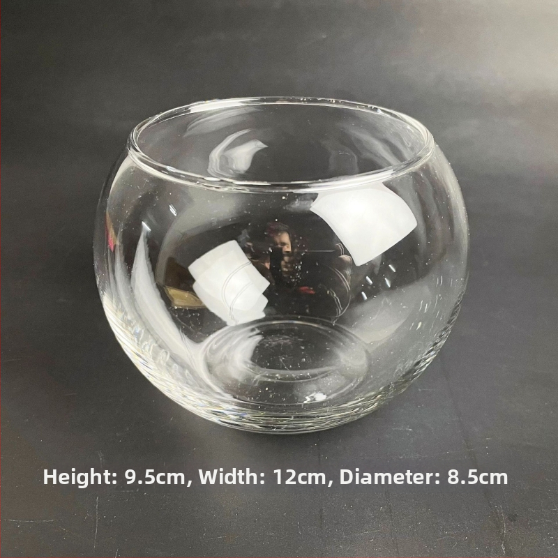 Stikla pudelīte ar sūnām, mikropeizējums ekoloģisks akvārijs zelta zivtiņām — apaļš atvērums dizains, sukulentu augi; Zīmols: Small Space Big World; Iepakojums: kartons; Parādīšana: uz virsmas